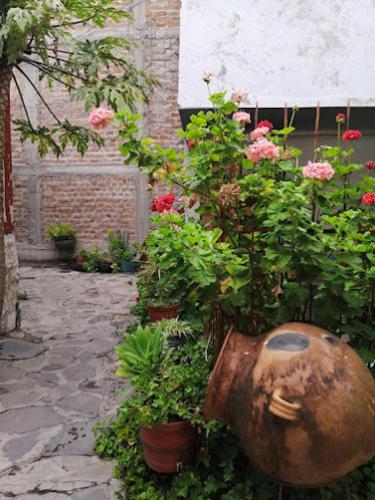 Un jardín fuera de Hotel MESONERO