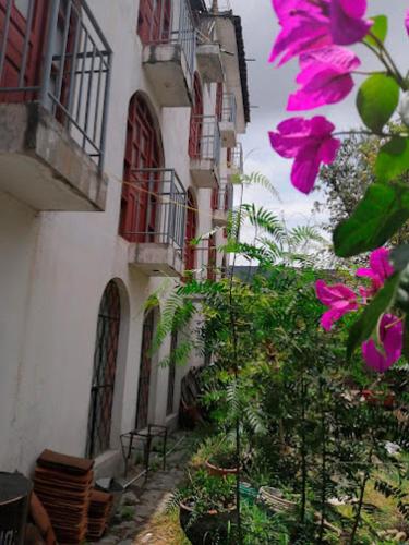 Un jardín fuera de Hotel MESONERO