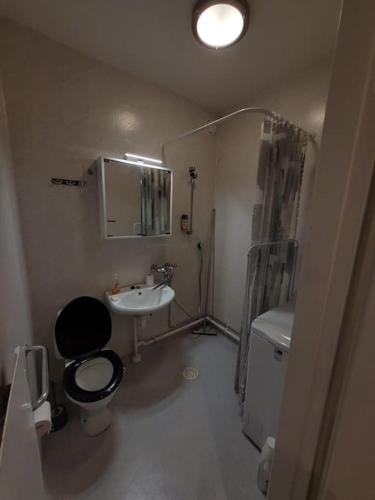 a small bathroom with a toilet and a sink at Topelius Park Apartment in Uusikaarlepyy