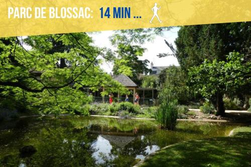 un jardín con un estanque y gente caminando por el fondo en Beau-Jean, Un Cocon Sympa 5 min à Pied du Centre-Ville, Parking Privé, à 10 min du CHU, en Poitiers
