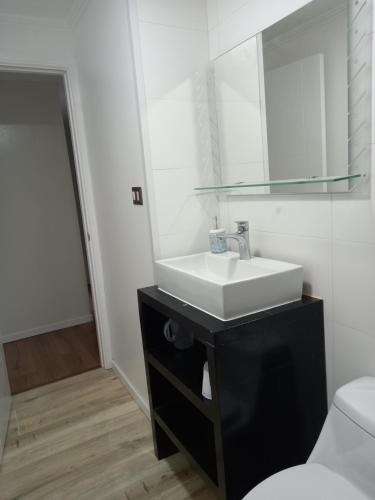 a bathroom with a sink and a mirror at Cabañas y Departamentos Las Palmas, Temuco Depto 1 in Temuco