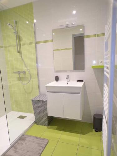 une salle de bain avec un lavabo et une douche avec un miroir dans l'établissement maison de ville en plein cœur de Jonzac, à Jonzac