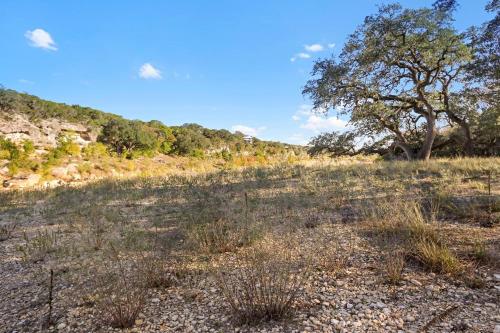 a field of grass with a tree in the background at Barndo on the Blanco in Wimberley