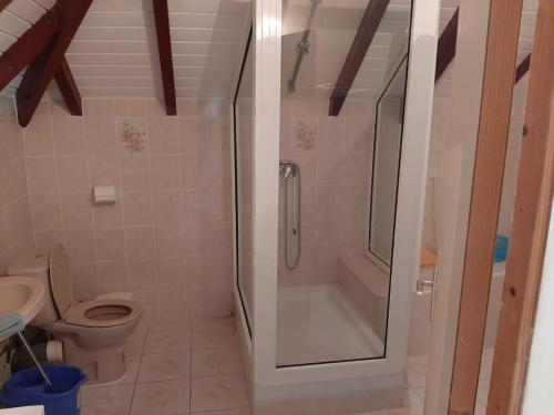 a bathroom with a shower and a toilet at Location appartement Idéal Vacances (avec une grande terrasse) in Petit-Canal