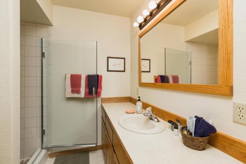 ein Bad mit einem Waschbecken und einem Spiegel in der Unterkunft 389 Beaver Circle in Durango Mountain Resort