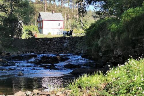 a cow standing on a stone wall next to a river at Alone In The Woods With Your Own River Nearby in Fitjar