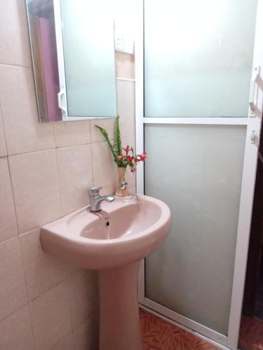 y baño con lavabo y espejo. en Mount View Cottage en Nuwara Eliya