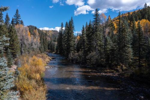 a river in the middle of a forest at Slippery Rock River Ranch in Dolores
