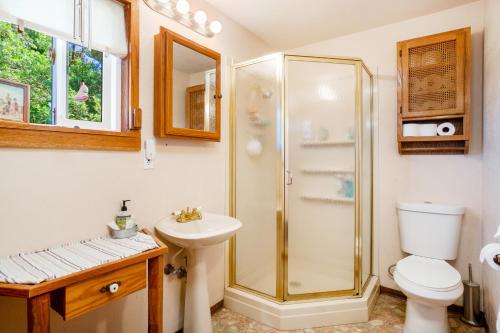 a bathroom with a shower and a toilet and a sink at Surfer's Â Landing in Westport