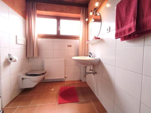 a bathroom with a toilet and a sink at Landhaus Panorama in Reutte