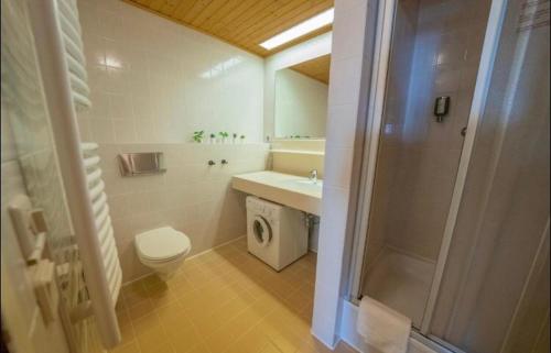 a bathroom with a toilet and a sink and a shower at Familienapartment Sonne und Schnee in Kanzelhöhe