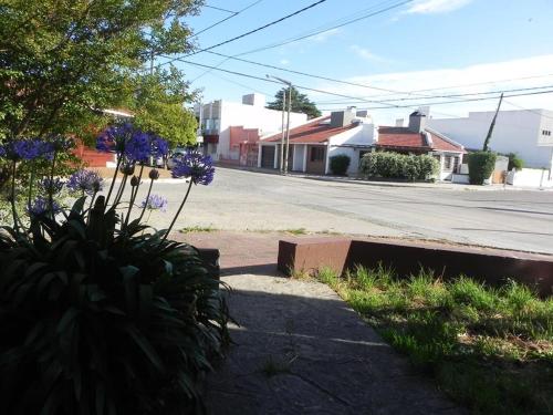 una calle vacía con flores púrpuras a un lado de la carretera en ALQUILER DE CASA POR TEMPORADA en Necochea