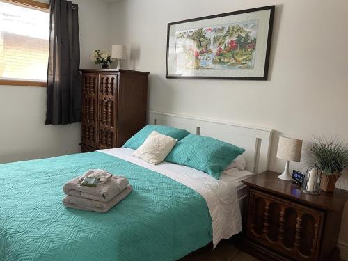 蘇聖瑪麗的住宿－The North Escape Cozy 3 bedroom house Great location，一间卧室配有一张带蓝色棉被的床