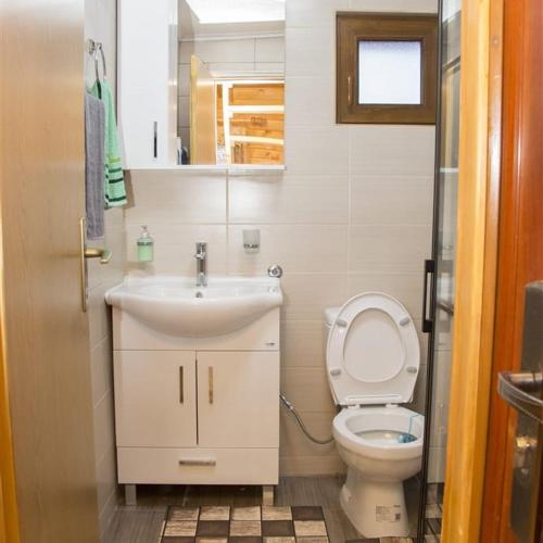 a small bathroom with a sink and a toilet at TAMARA - Brvnara za odmor in Han Pijesak