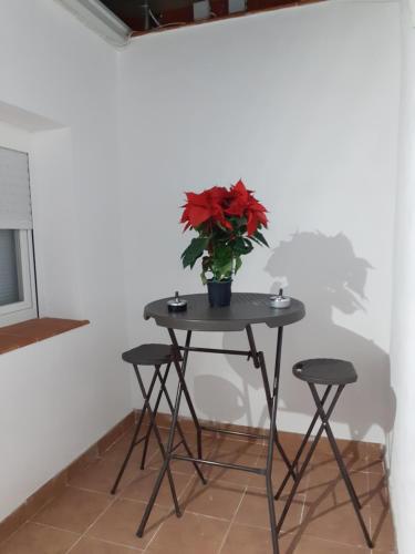 Apartamento C