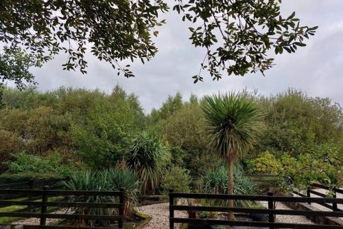 a garden with a wooden fence and a palm tree at Stunning apartment set in private native woodland in Ramelton