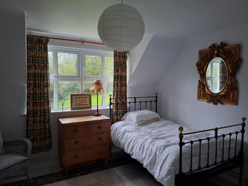 um quarto com uma cama, um espelho e uma cadeira em Stunning apartment set in private native woodland em Ramelton