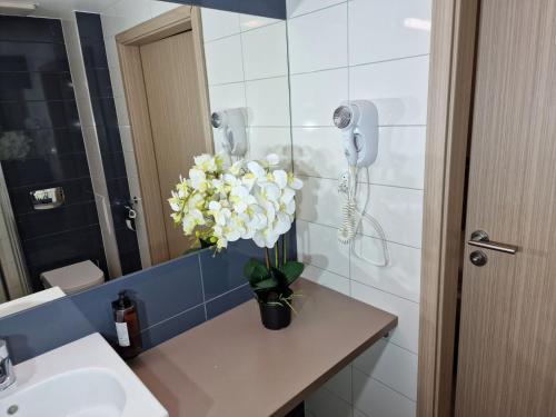 AGAT Apartament Czarna Góra في سيينا: حمام مع حوض و مزهرية من الزهور