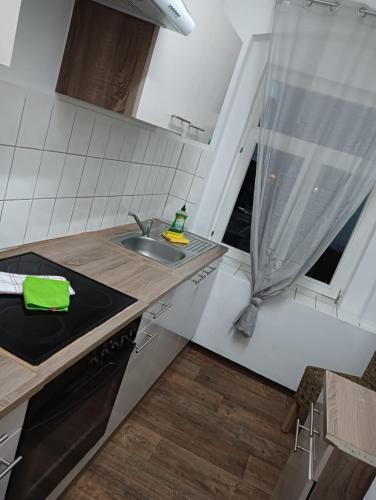 uma pequena cozinha com um lavatório e um fogão em Stella's Monteurswohnungen em Fraureuth