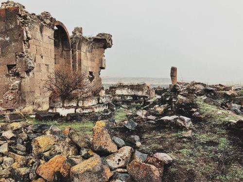  Zove Rural Cottage with garden views -  Room  picture :   Shower    Hairdryer    Iron                           