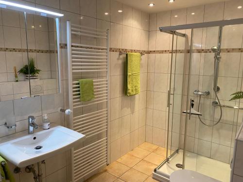 a bathroom with a sink and a shower with a glass door at Waldläufer Brilon in Brilon