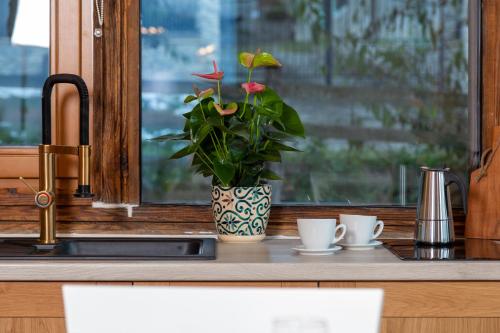 una planta en un jarrón en un mostrador de cocina con dos tazas en Casele cu Stuf B&B Haus Ulrike, en Sălicea
