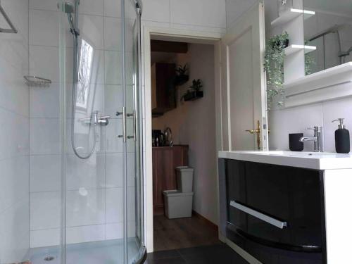 a bathroom with a shower and a sink at Ferienwohnung Friesenstube in Zetel
