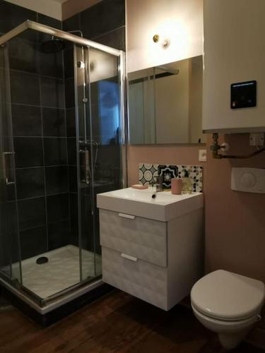 une salle de bain avec une douche, des toilettes et un lavabo dans l'établissement La marmotte, à Barcelonnette