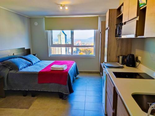テムコにあるApart Hotel Bauerle & Apartamentosのベッドルーム1室(ベッド1台付)、キッチン(窓付)