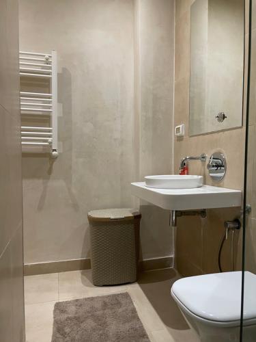 a bathroom with a sink and a toilet at LA PETITE PERLE A MARSA PLAGE in La Marsa