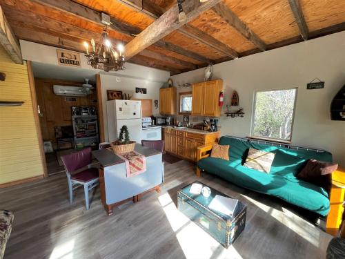 sala de estar con sofá verde y cocina en The Cedar House at Creekside Camp & Cabins, en Marble Falls