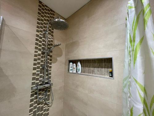 a shower stall in a bathroom with a tile wall at Appartement centre Zaza in Brussels