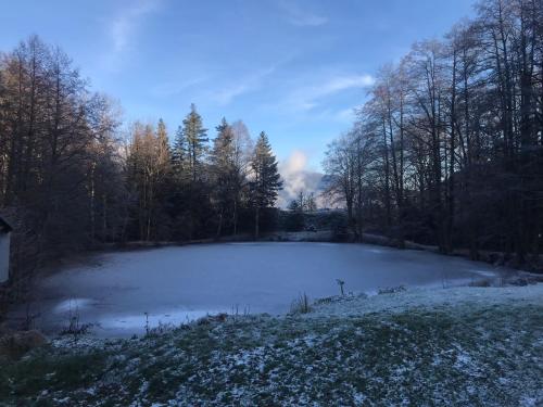 a large pond in the middle of a field at Accomodatie in Villa Werschmatt in Kruth