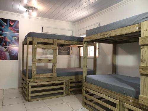 um quarto com 2 beliches num quarto em CocoFloripa Hostel em Florianópolis