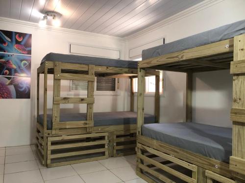 a room with two bunk beds in a room at CocoFloripa Hostel in Florianópolis