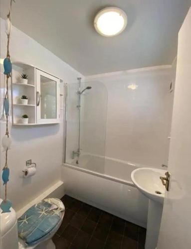 a bathroom with a shower and a toilet and a sink at CONTRACTORDIGS with FREE parking - excellent road links in Nuneaton