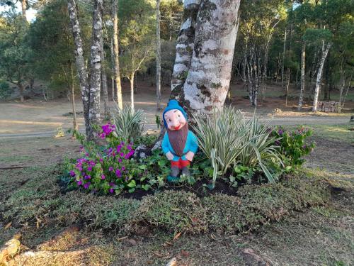 a teddy bear sitting in a flower garden at Cabanas dos Pinheiros in São Francisco de Paula