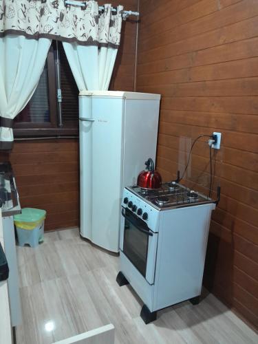 a kitchen with a stove and a refrigerator at Cabanas dos Pinheiros in São Francisco de Paula