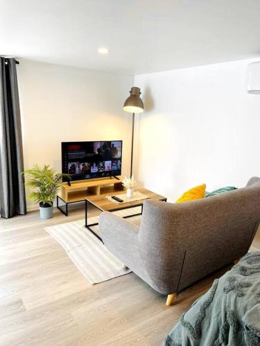a living room with a couch and a tv at Modern Studio with Mountain View and Near Airport & CBD in Warrane