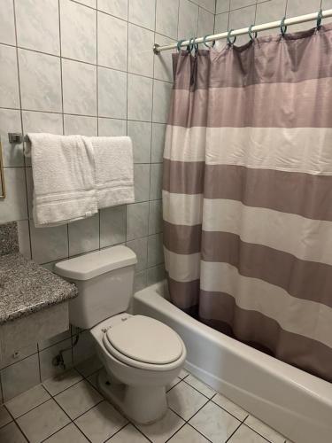 y baño con aseo y cortina de ducha. en Plaza Inn Motel - Los Angeles area, en Rosemead