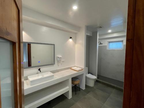 een badkamer met een wastafel, een spiegel en een toilet bij Bathala Resort in Panglao