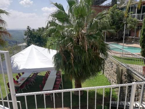 une tente blanche à côté d'un palmier à côté d'une piscine dans l'établissement Terraza Lotelazo, à Guadalajara