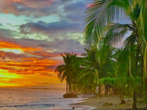 a group of palm trees on a beach at sunset at Beachfront Paradise in Manuel Antonio
