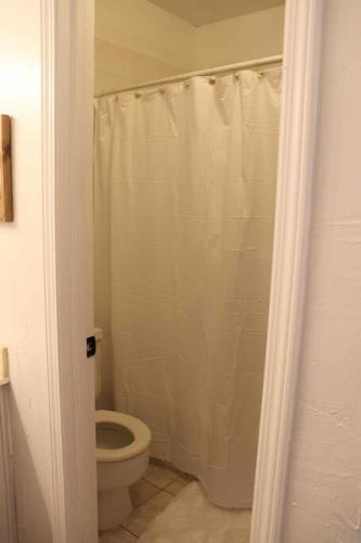 a bathroom with a toilet and a shower curtain at By HWY, 3/2 , sleeps large group Palo Duro Fun in Amarillo