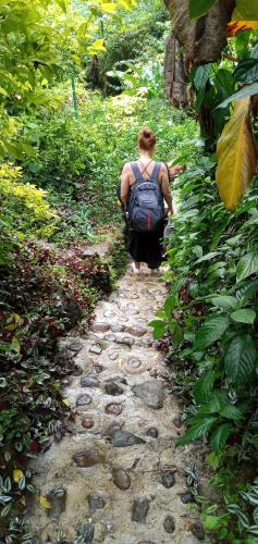 a person with a backpack walking down a path at Berkey's Jungle Paradise in Roseau