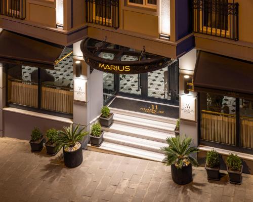 una vista panoramica su un centro commerciale con piante in vaso di Marius Hotel a Istanbul