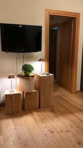 TV a/nebo společenská místnost v ubytování B&B Dolomiti