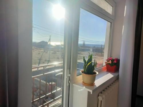 a window with a plant on a window sill at The Lake Townhouse in Cholpon-Ata