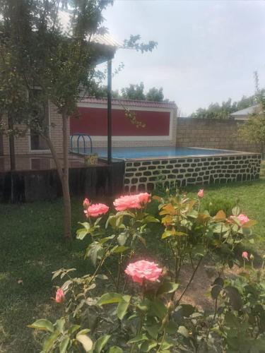 Κήπος έξω από το Villa Vilish
