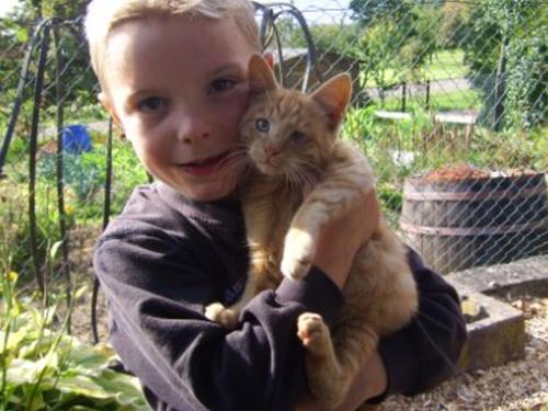 a young boy holding a cat in his arms at Grub-Daniel-Hof in Freiamt